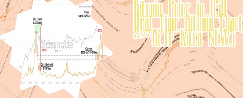 Bitcoin one percent controls all