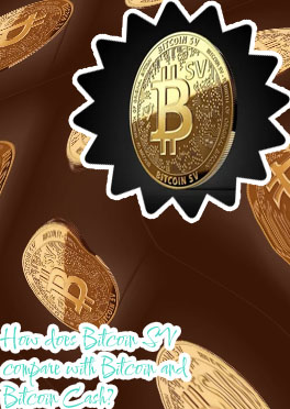 Bsv bitcoin