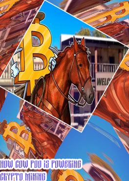 Crypto com texas