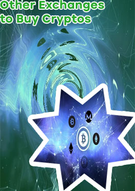 Eloneone crypto